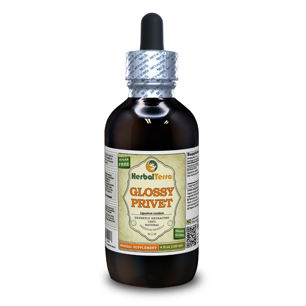 Glossy Privet (Ligustrum Lucidum) Tincture, Organic Dried Fruit Liquid Extract