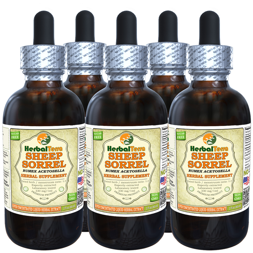 Sheep Sorrel Tincture, Organic Dried Herb Liquid Extract eBay